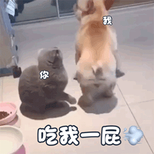b63ce12e00fd376d08772fe97fdae781.gif