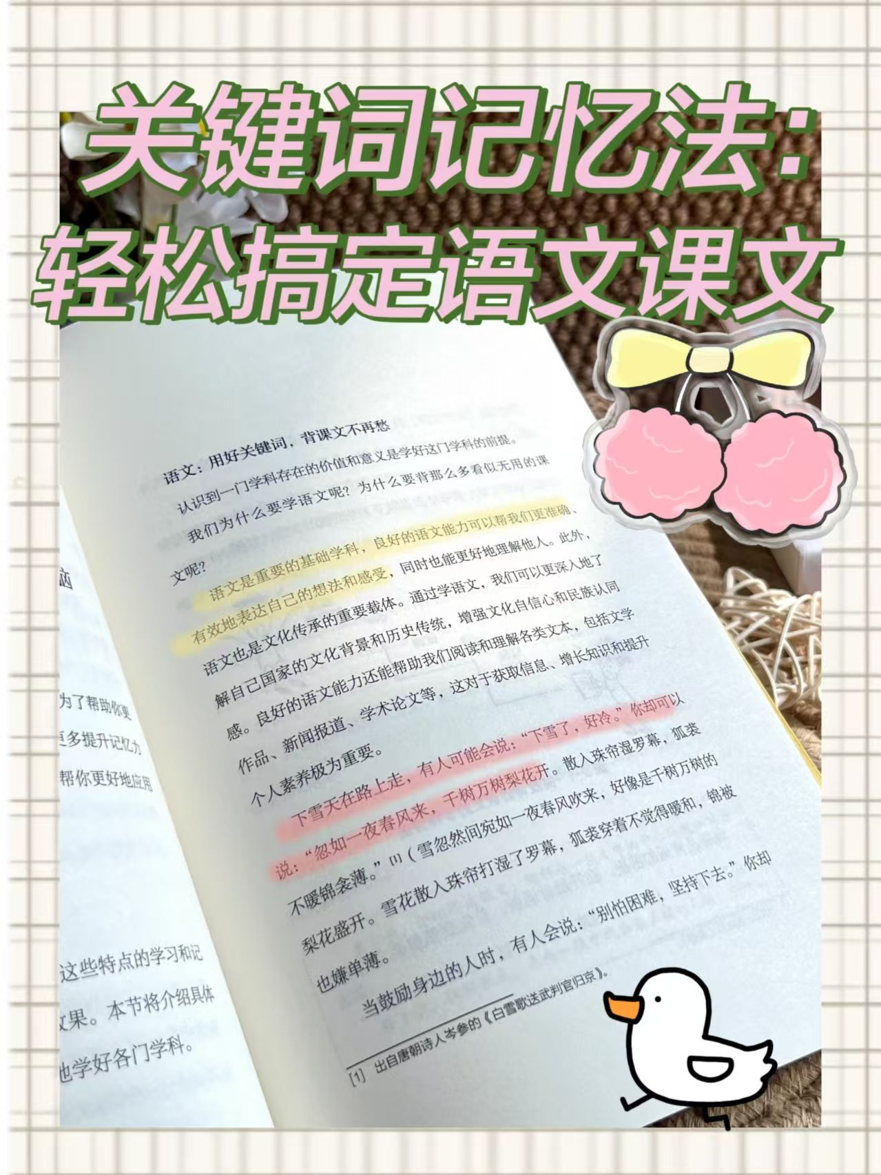 b6406c5f224c8f576d8f3aeb35178e13.jpeg