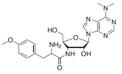 Puromycin（嘌呤霉素）— pac基因筛选抗生素