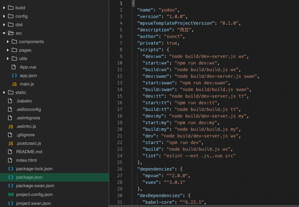 package.json