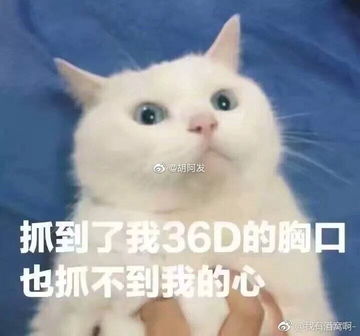 b6b2a735e1a7e768ae17f5635a733e5b.png