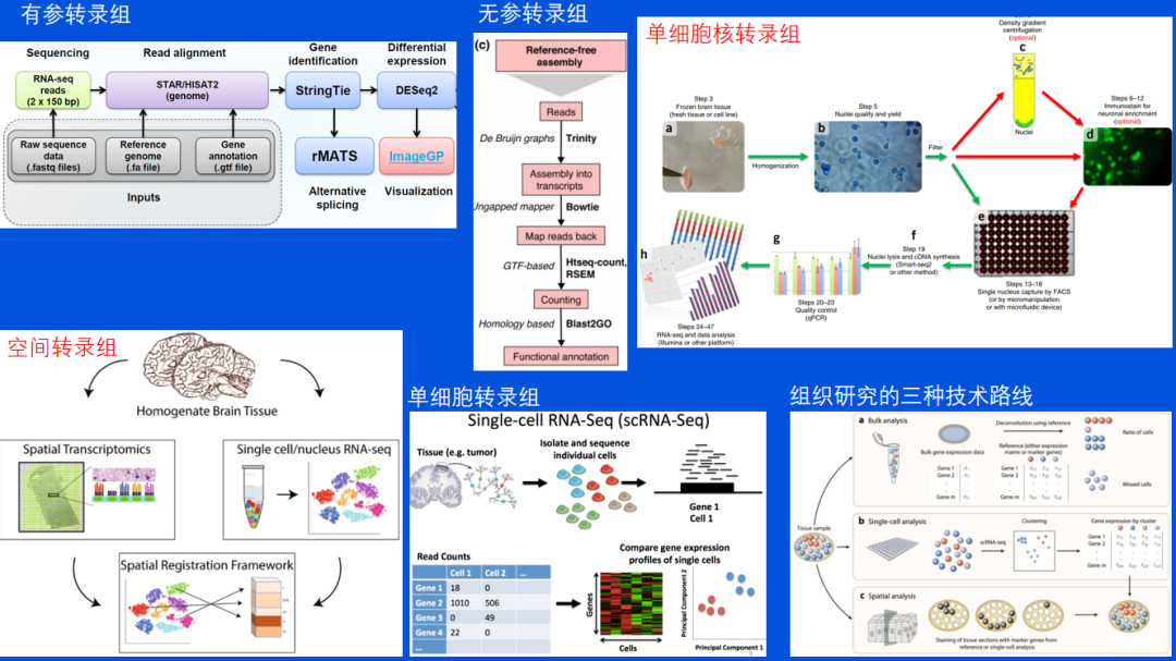 多组学数据整合分析之转录组和蛋白质组分析-CSDN博客