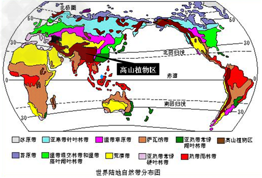 各自然带代表植被_甲,乙两图分别是安第斯山脉东,西两坡上的植被分布
