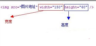 img标签使用实例