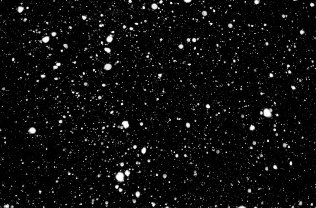 b71ee452cbe5085a8a0c4861909e0d64.jpeg