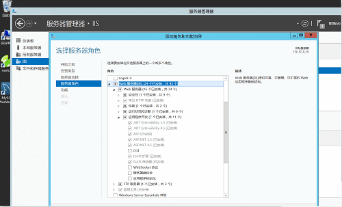 IIS服务器发布ASP.NET项目_部署_08