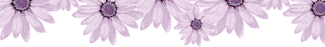 b785e99957c8ca7916a9bae066dba3f6.png