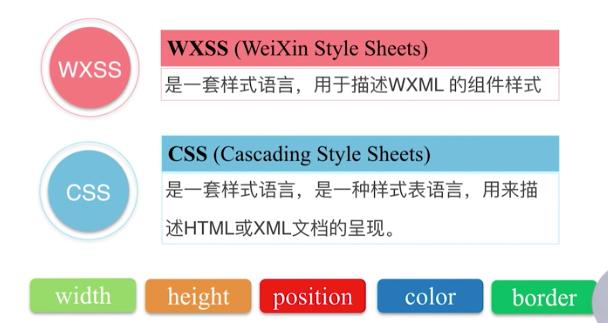 c 小程序代码 关于小程序的基础知识都在这里,还不赶紧收藏