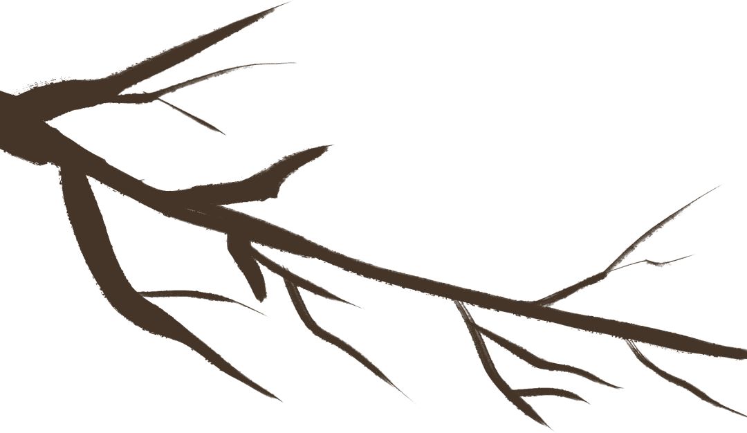 b7b4d80493dbbee9c46c6c69c9600c19.png