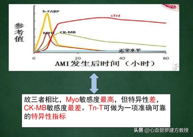 中echarts显示大小问题检查显示心梗三项中ckmb升高这是心脏有问题了