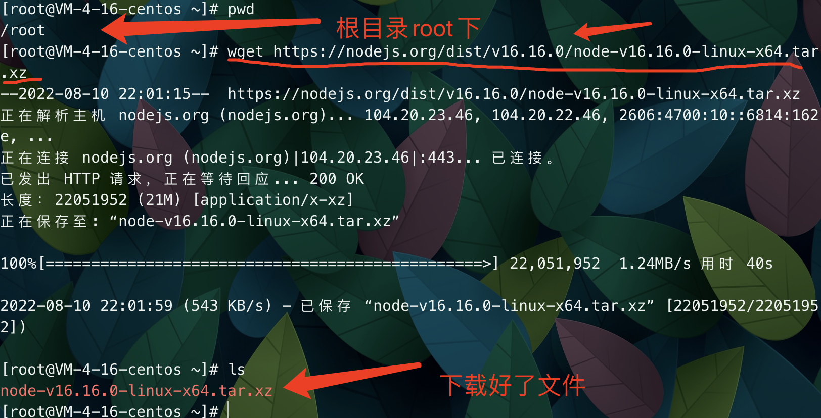 b7bd89641d7730185b53e02ee5f1c3eb - 使用xshell linux安装nodejs,CentOS下安装并配置nodejs环境教程