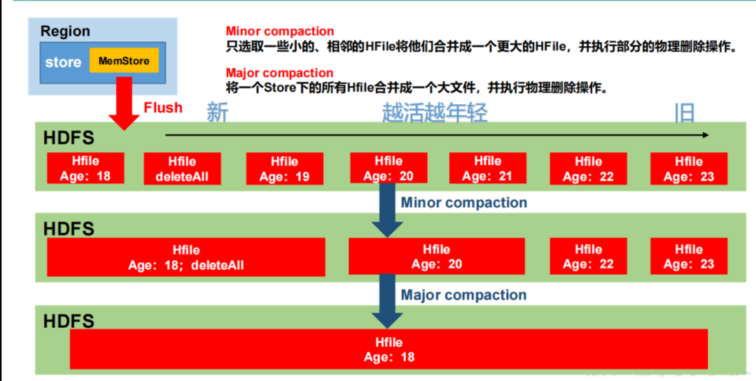 【大数据】一篇文章带你入门HBase