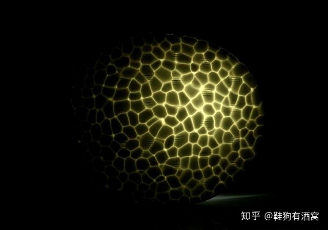 b85b4a2d1800c73e433b7118d8c4237c.png