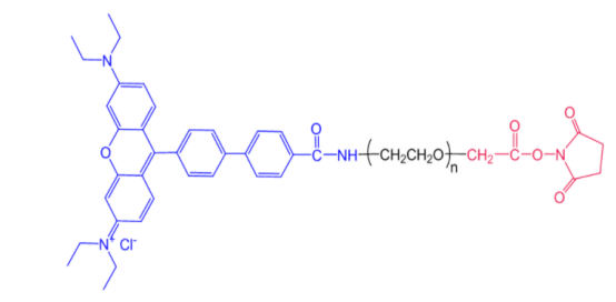 RB-PEG-NHS；NHS-PEG-Rhodamine罗丹明聚乙二醇琥珀酰亚胺 红色荧光染料罗丹明B功能化聚乙二醇