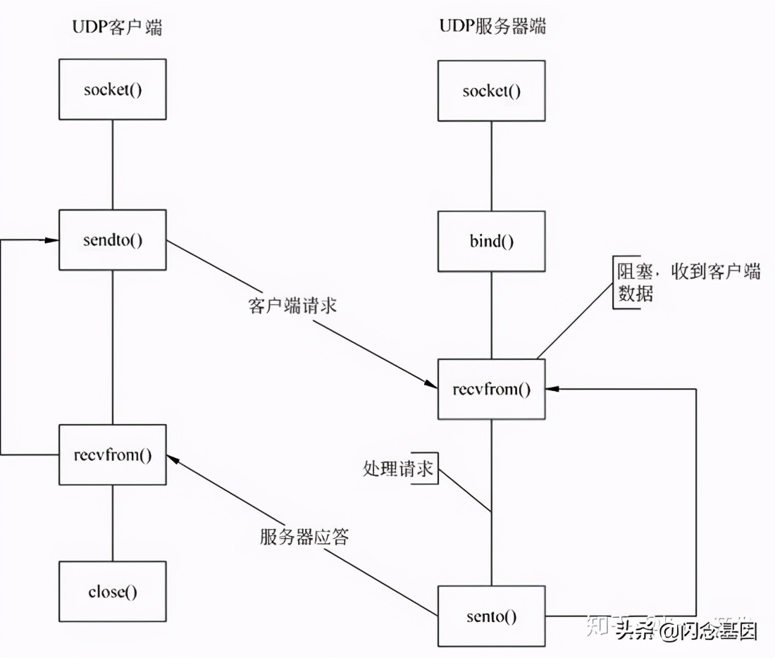 Linux C Socket 编程