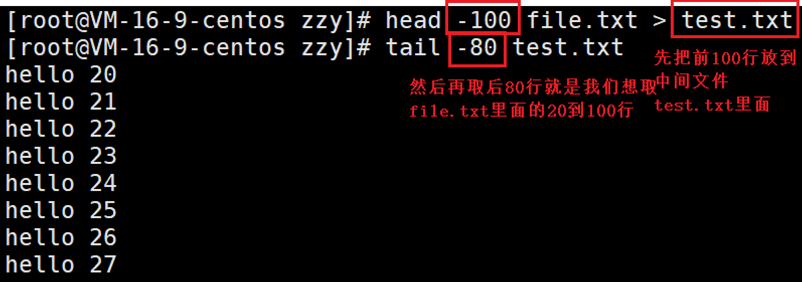 image-20220124184624594