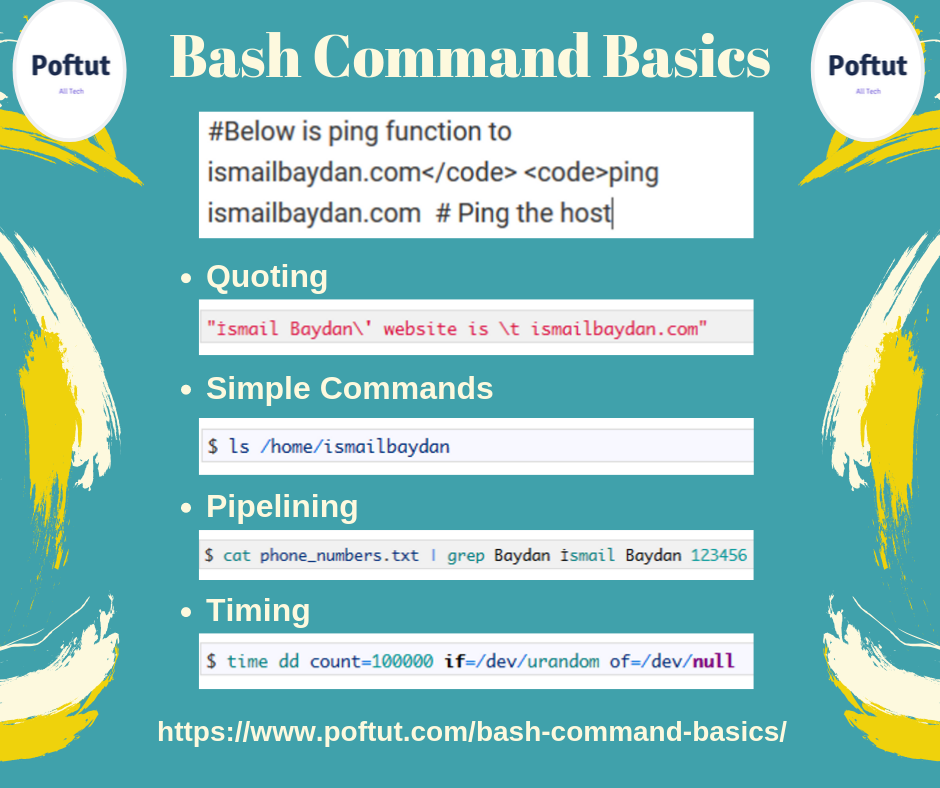 Bash Command Basics Infographic