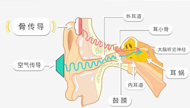 骨传导耳机的原理是什么？一文读懂骨传导耳机优缺点都有哪些！
