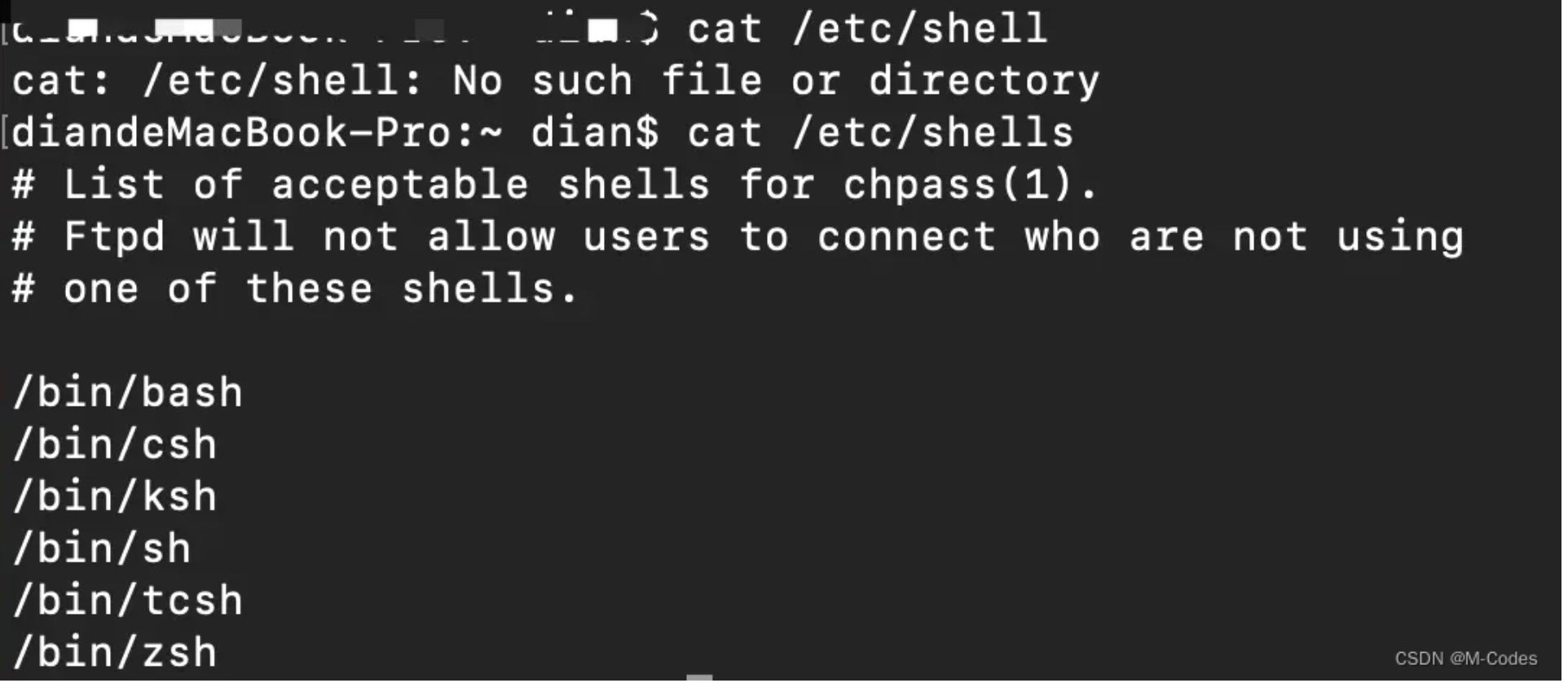 shell工具与服务管理_zsh 环境变量-CSDN博客