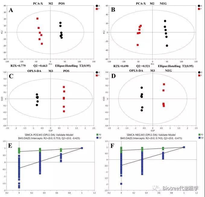 图1 寄生和非寄生蚜虫脂质代谢PCA、OPLS-DA、permutation分析