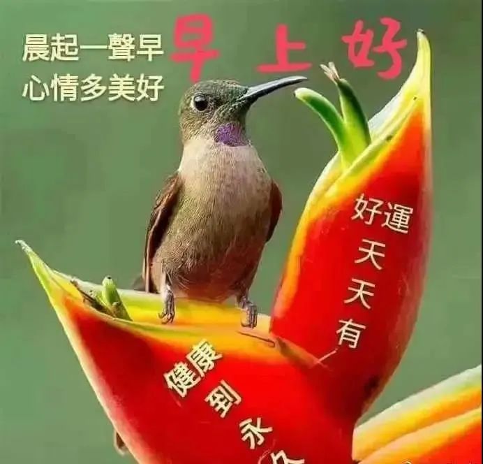 最新emoji表情代码大全_8张最新创意好看的早上好表情图片大全 秋日
