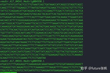 NGS基础- GTF/GFF文件格式解读和转换-CSDN博客