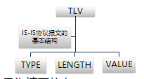 isis协议基本结构.png