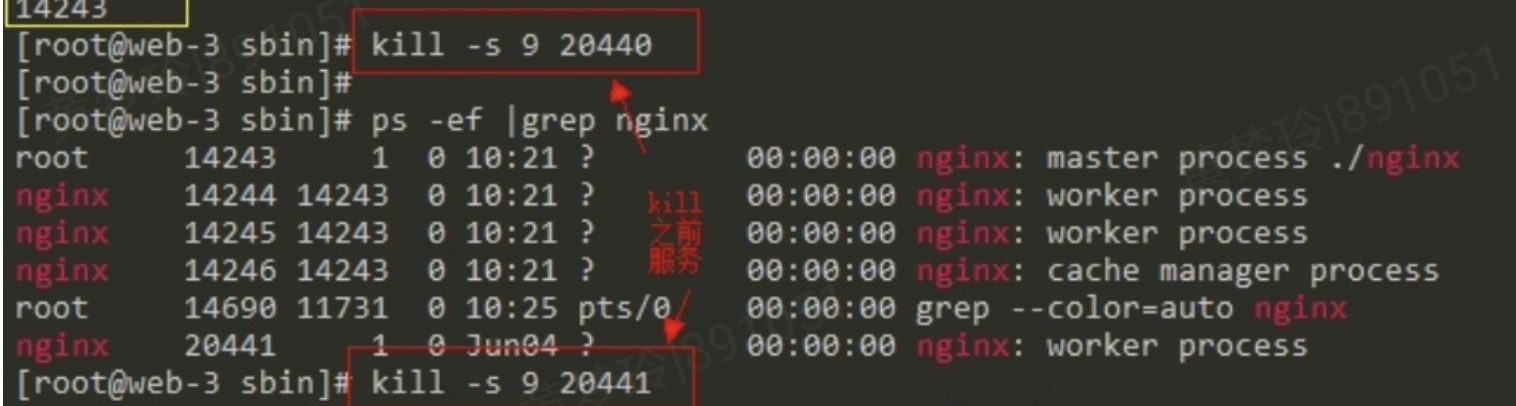 [nginx] 80端口无效