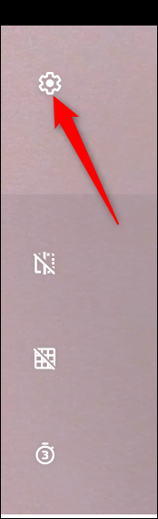 Click the Settings cog to change a few of the Camera settings.