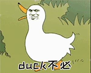dovis是什么意思duck不必什么梗李佳琦放过鸭子吧表情包