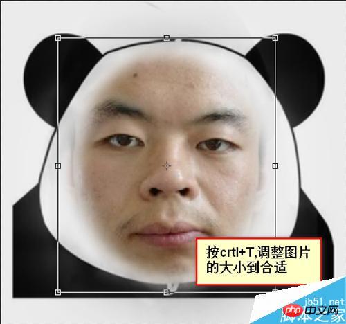 php搞笑图片合成,ps教你怎么把照片做成搞笑的qq表情