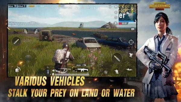 為什么手游pubg進不去游戲，吃雞手游服務器未響應,PUBG Mobile Lite