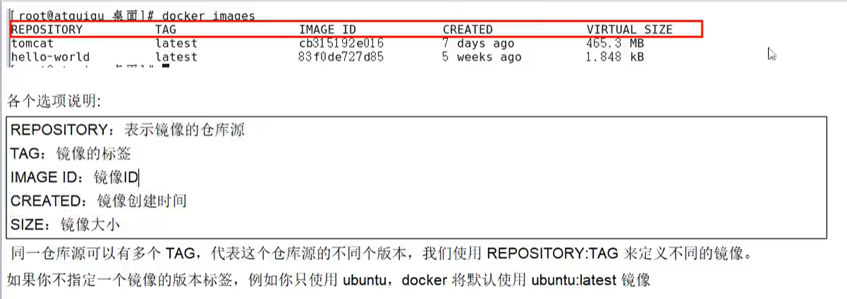 image-20210105191722978