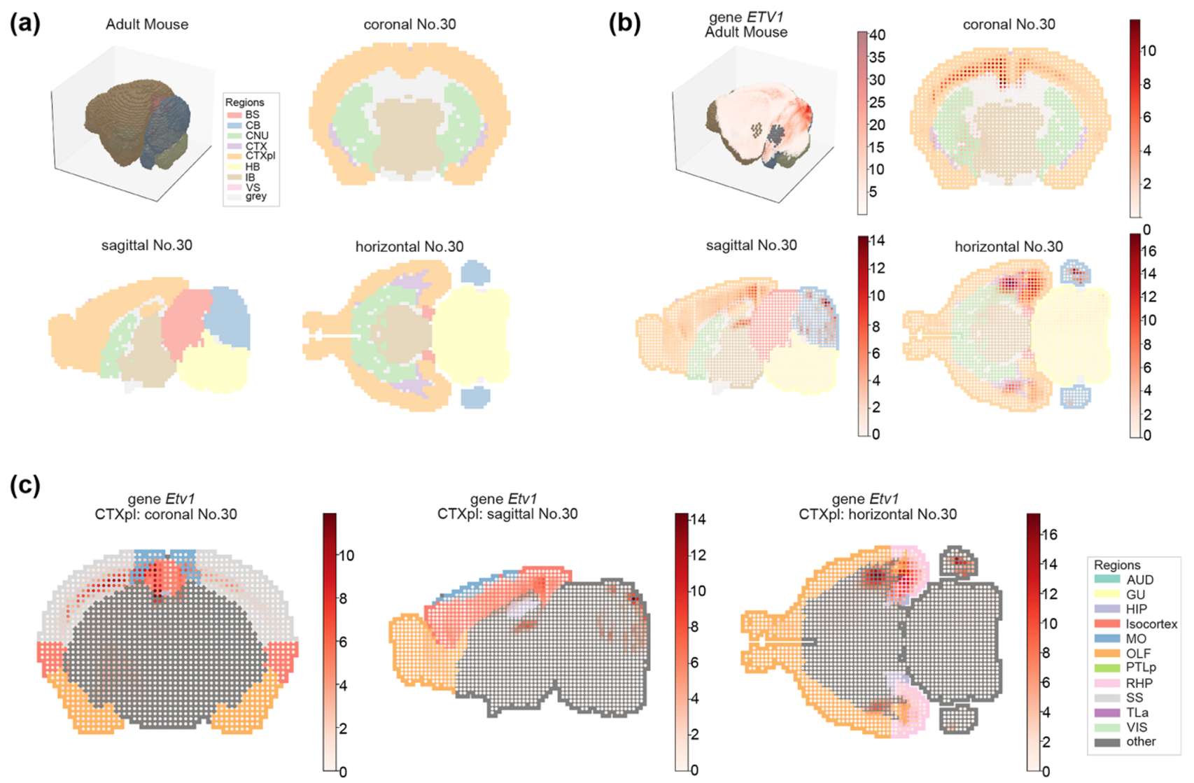 Figure 2. 2D 和 3D 空间中成年小鼠大脑结构和基因表达的可视化