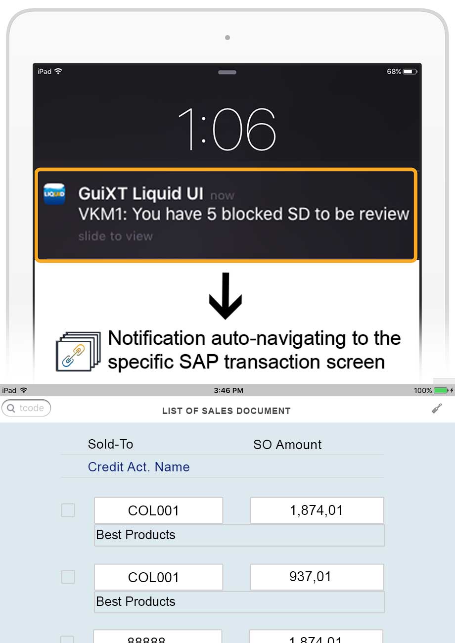 在 Apple 设备（包括 iPad、iOS 和 MacBook）上为用户提供完整的 SAP GUI