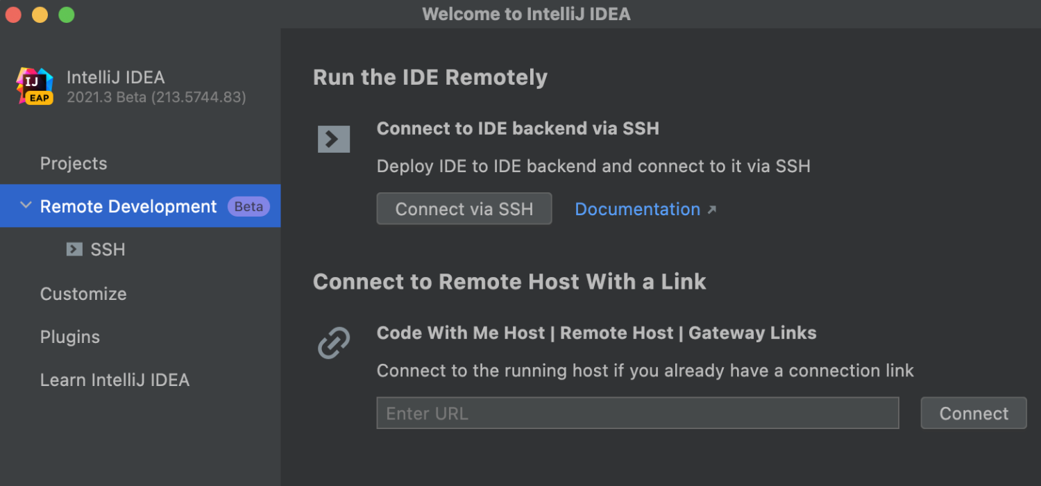 IntelliJ IDEA 2021.3 候选版本发布了！