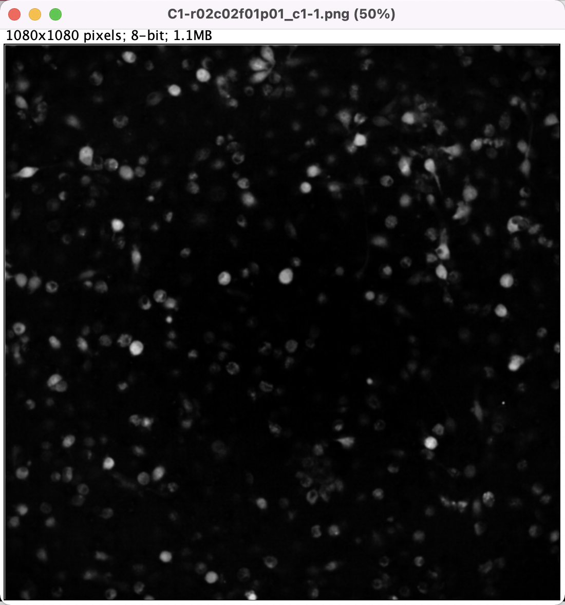 image-20220824163307157