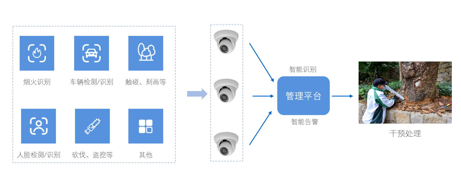 ai智能识别技术如何应用在城市古树名木养护场景中