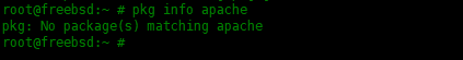 Examples of using the pkg package manager in FreeBSD Examples of using the pkg package manager in FreeBSD