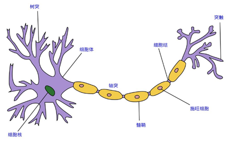什么是数学抽象 bb6643a843312999fe9b4185759238a8.png