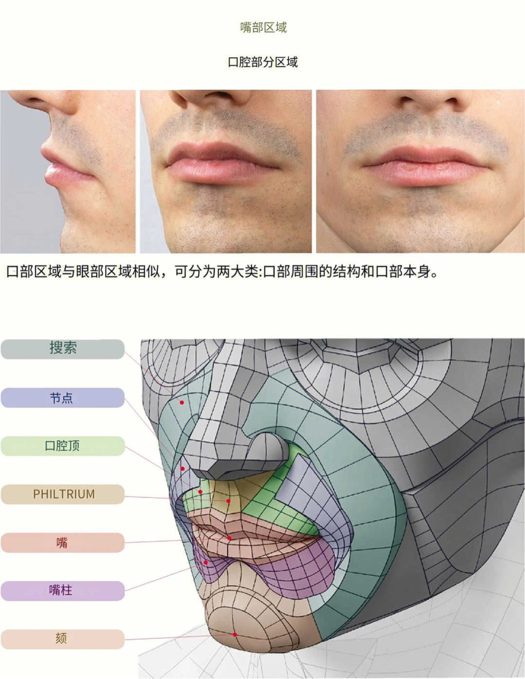 3D建模嘴巴如何布线?知识分享_嘴的布线-CSDN博客