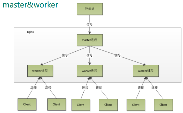 mater 和 worker两个进程