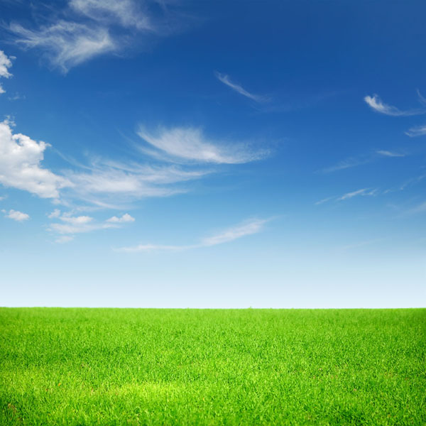bb97121d4332415702c790e361386354.png