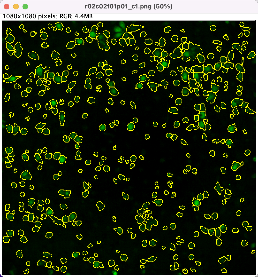 image-20220824164341624