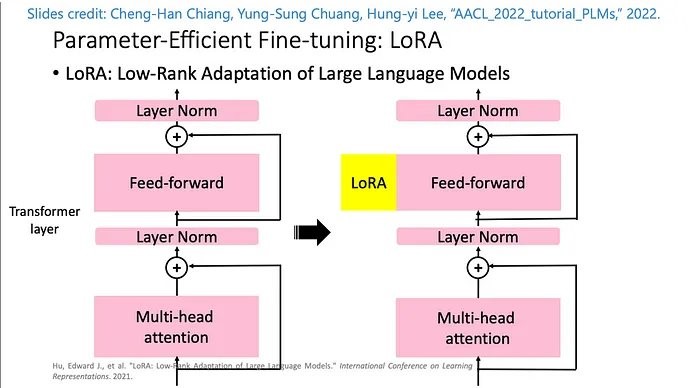 8-9.ML-13657-lora-01.jpg