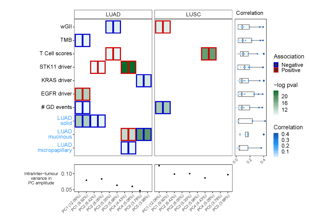 跟着Nature学分析：R语言ggplot2包绘制高端组合图