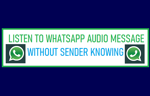 在发件人不知情的情况下收听 WhatsApp 音频