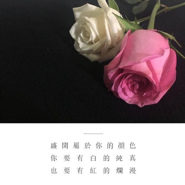 bbf2d6736e519ddef19ccd12fd4c953c.png