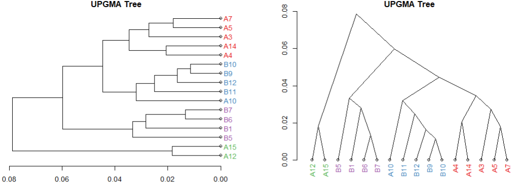 基于R做宏基因组的进化树ClusterTree分析