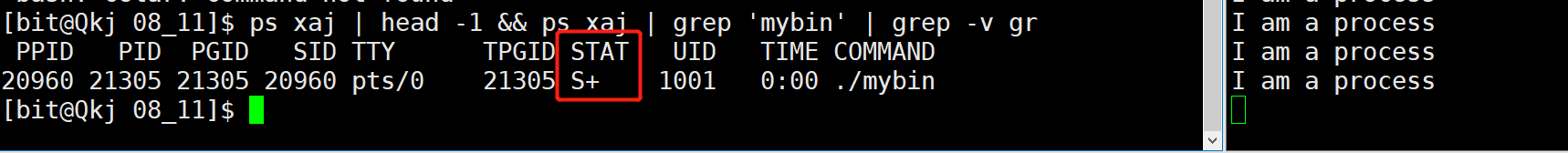 image-20220811204220877